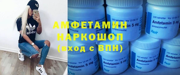 сатива Новодвинск