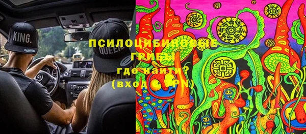трава Нефтекумск