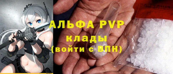 стафф Ессентукская