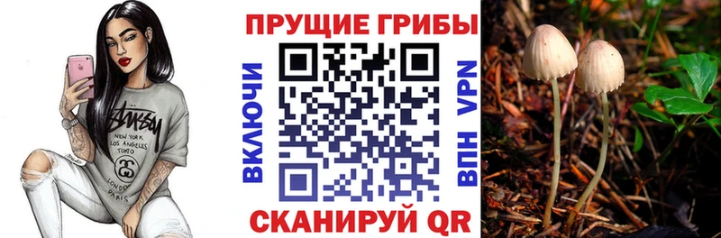сайты даркнета состав  Майский  Галлюциногенные грибы прущие грибы  цены  