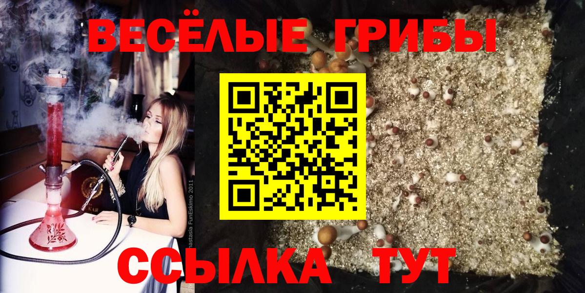 Псилоцибиновые грибы Psilocybe  Вход с VPN  Псилоцибиновые грибы Magic Shrooms  Майский 