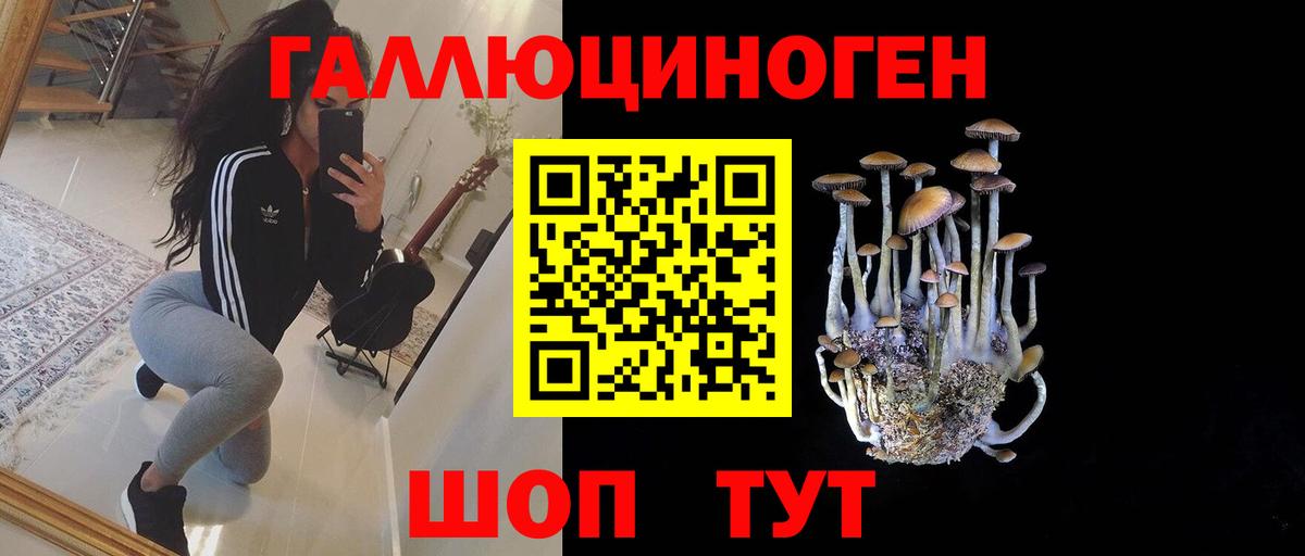 Галлюциногенные грибы прущие грибы  где купить наркотик  Майский  Вход с VPN 