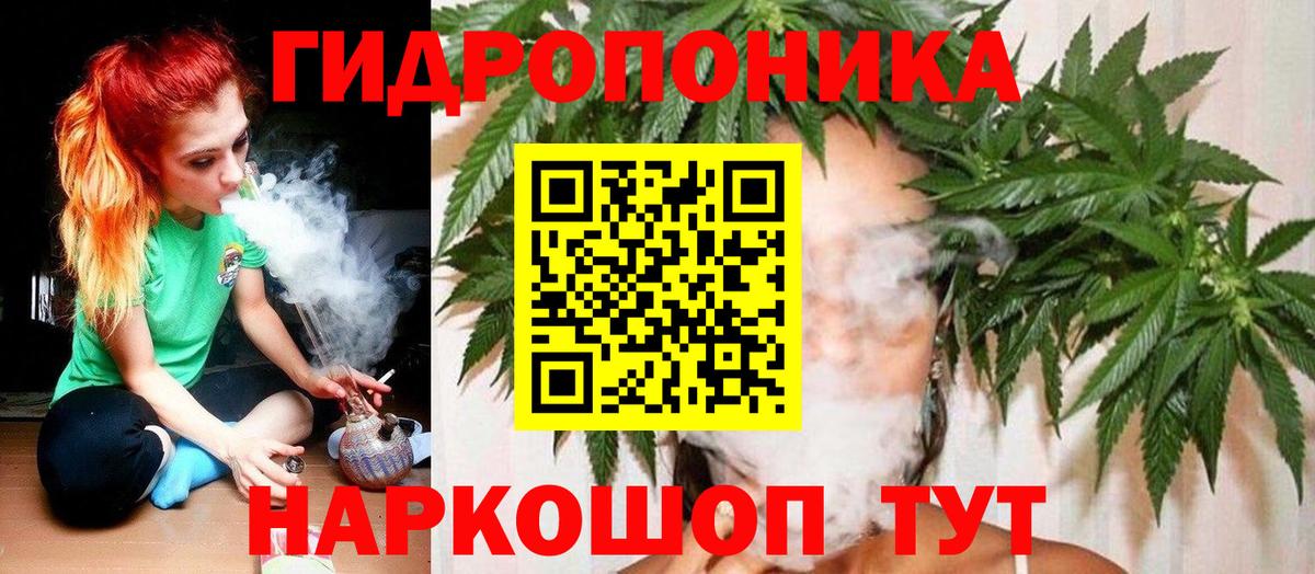 Каннабис THC 21%  Вход с VPN  Марихуана семена  Майский  Шишки марихуана OG Kush 